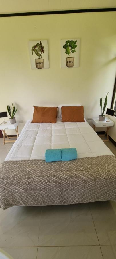 Koi Room Quesada  Εξωτερικό φωτογραφία